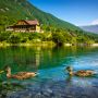 zelene pleso