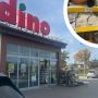 dino