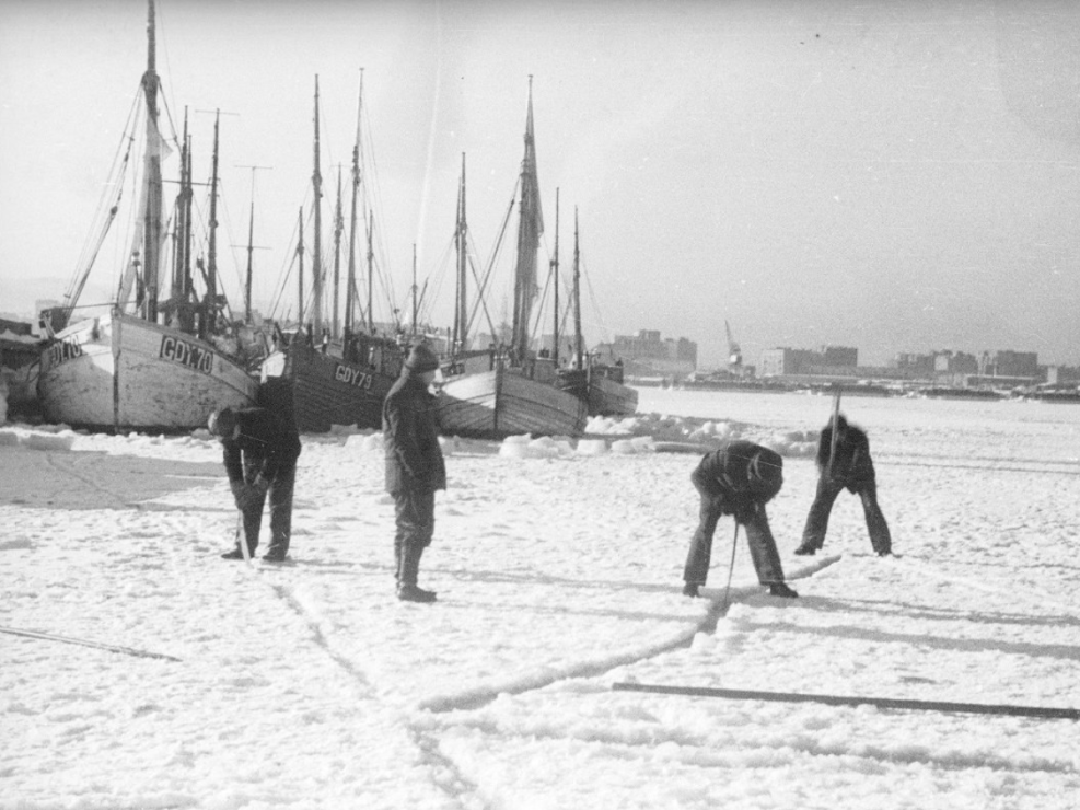 Zima w porcie (1947-1950).