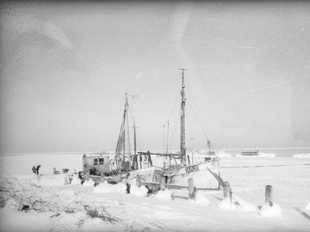 Zima w porcie (1947-1950).