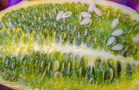 kiwano