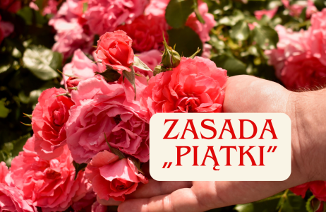 róże