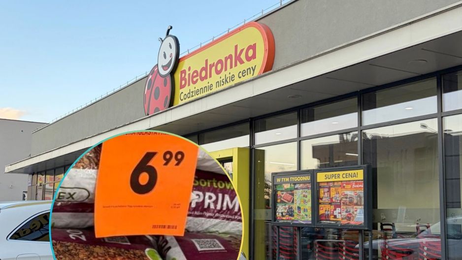 Biedronka kora