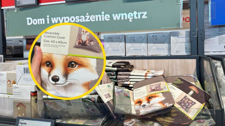 lidl poszewki