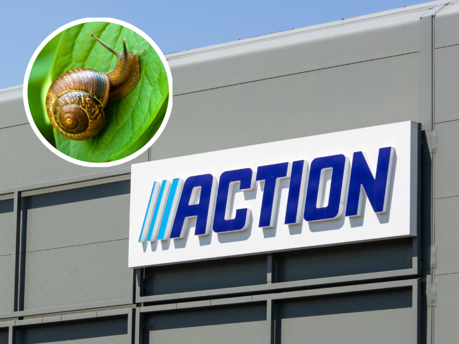Action