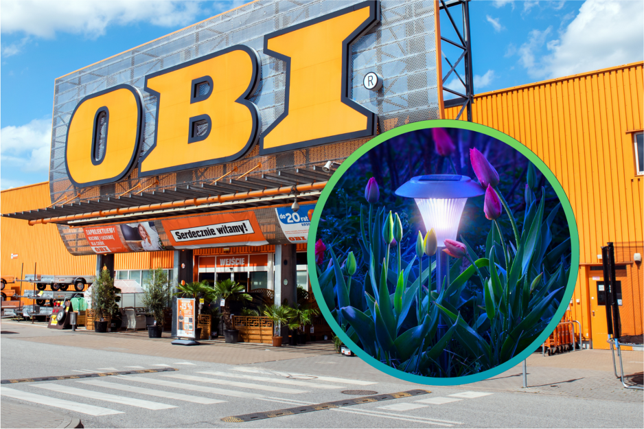 Obi