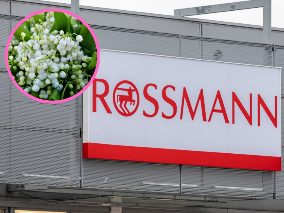 Rossmann