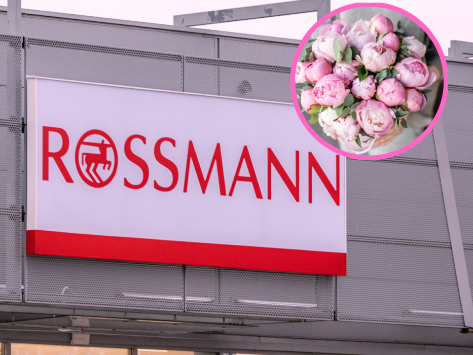 Rossmann
