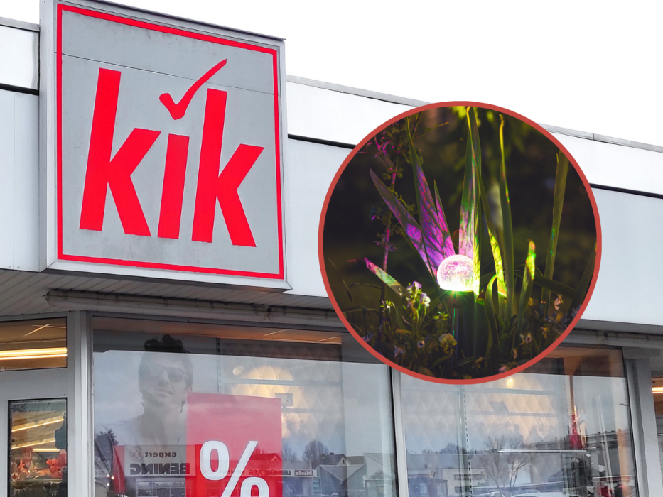 kwiaty solarne z Kik