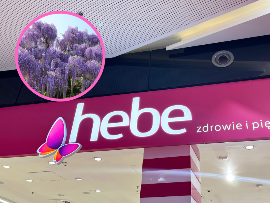 perfumy Hebe