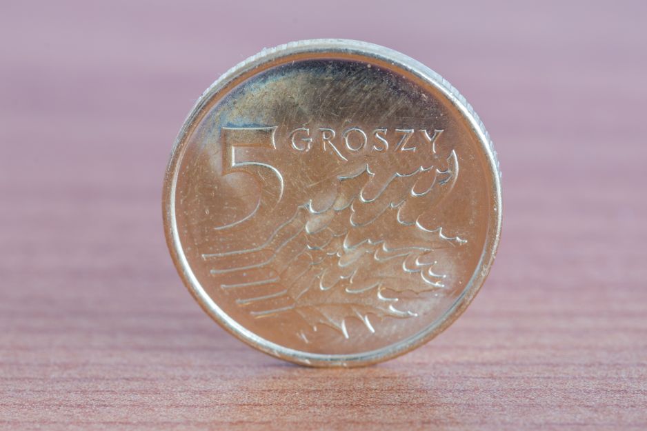 5 groszy