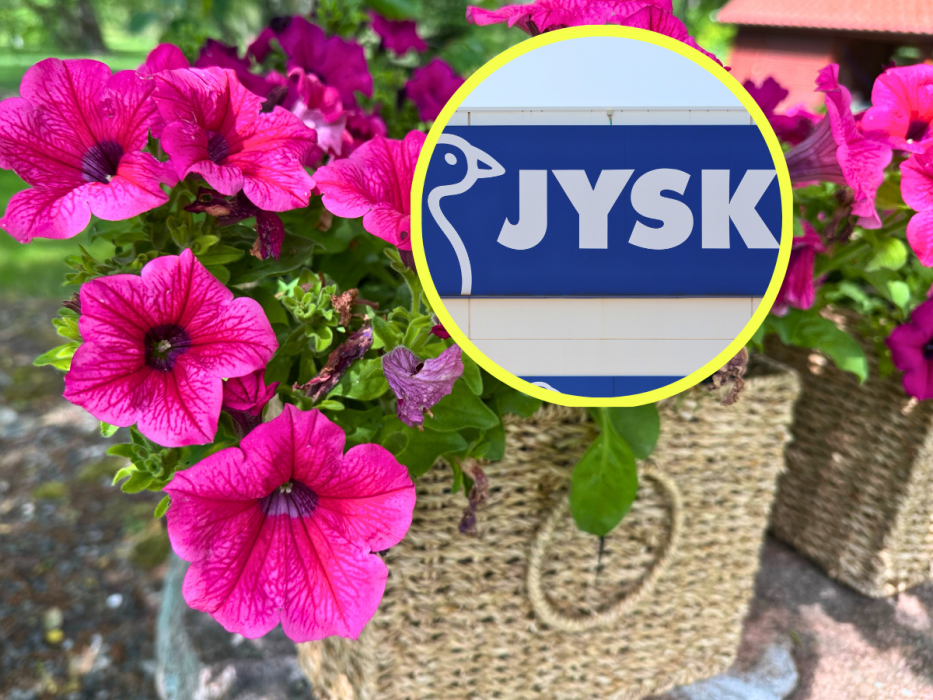 jysk doniczki