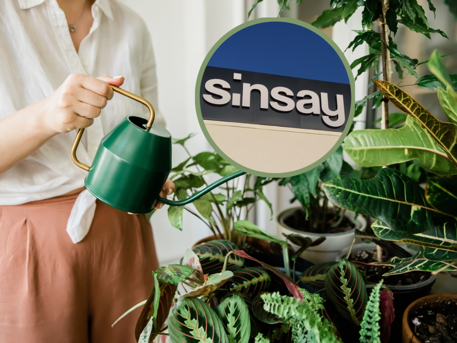 sinsay kwietnik