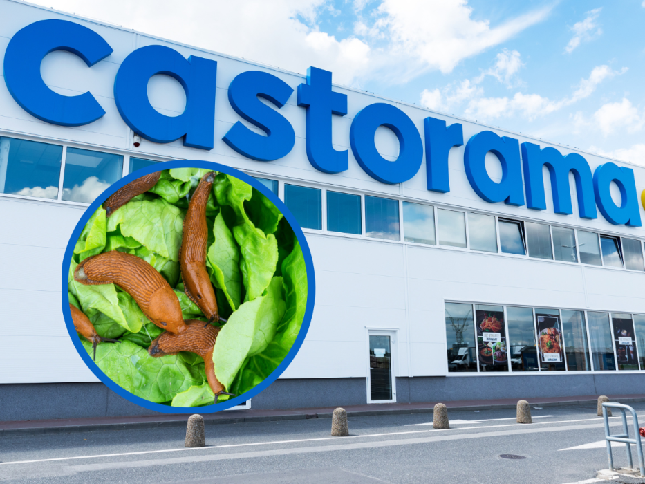 castorama