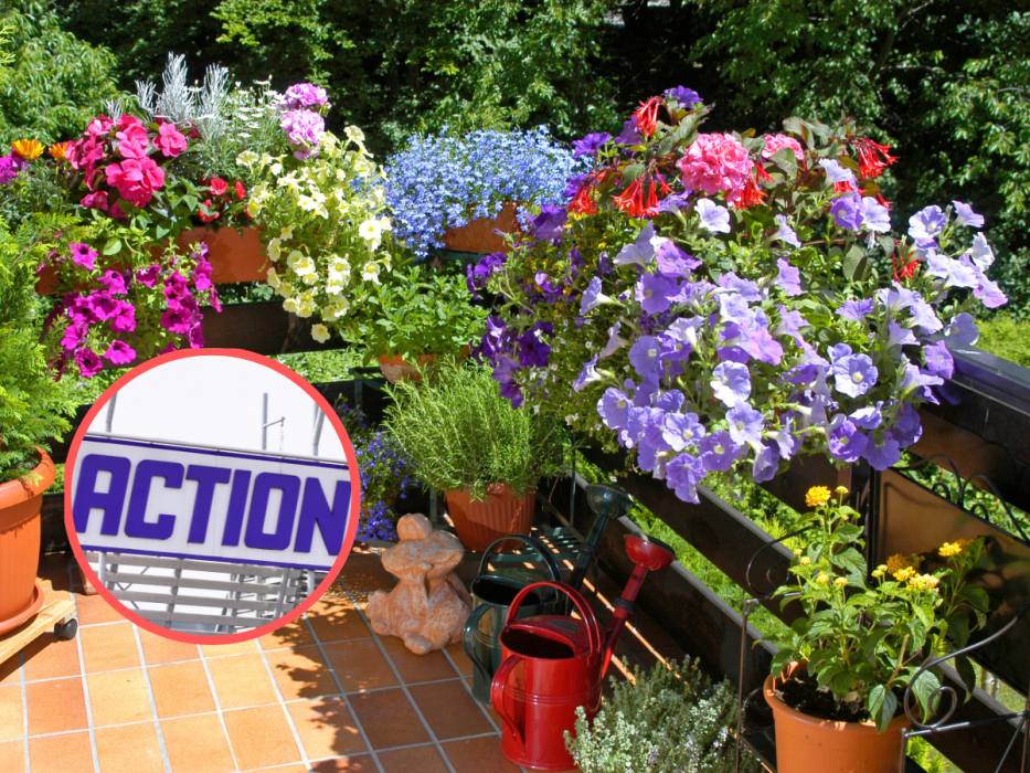 Action