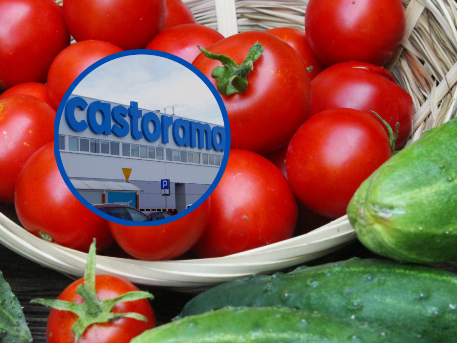 castorama
