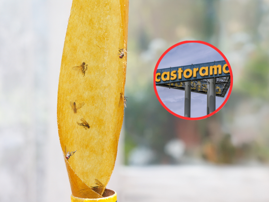 lep muchy castorama