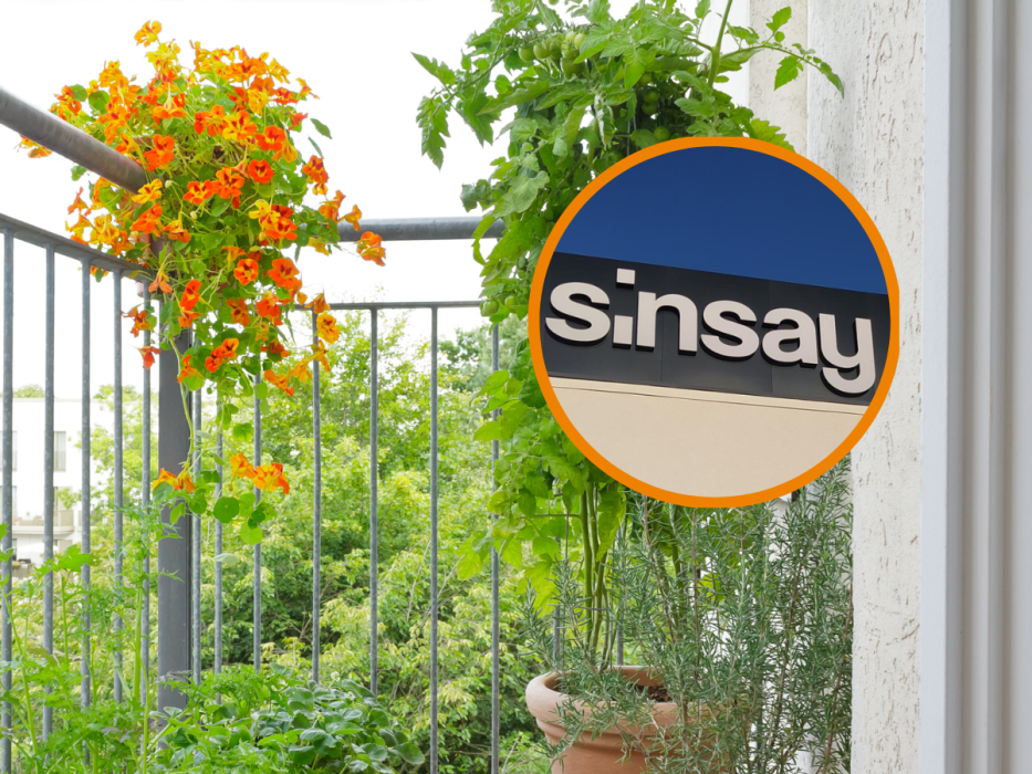 podpora Sinsay