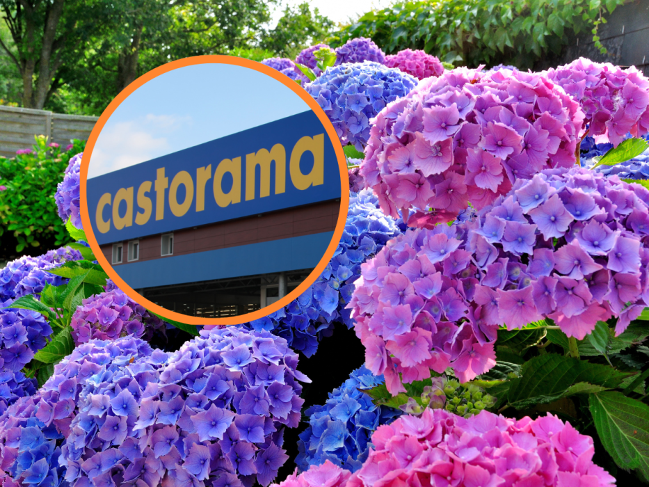 castorama