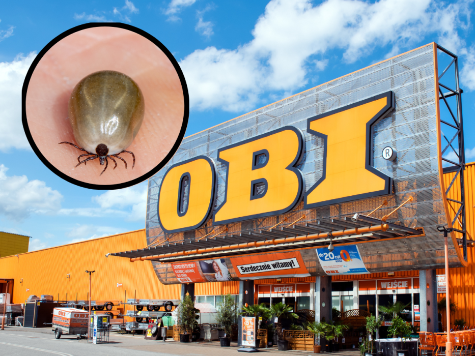 Obi
