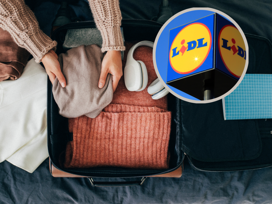organizery lidl