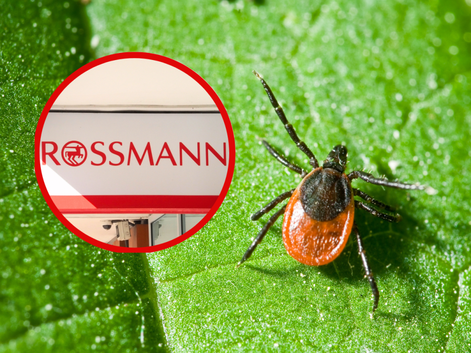 rossmann