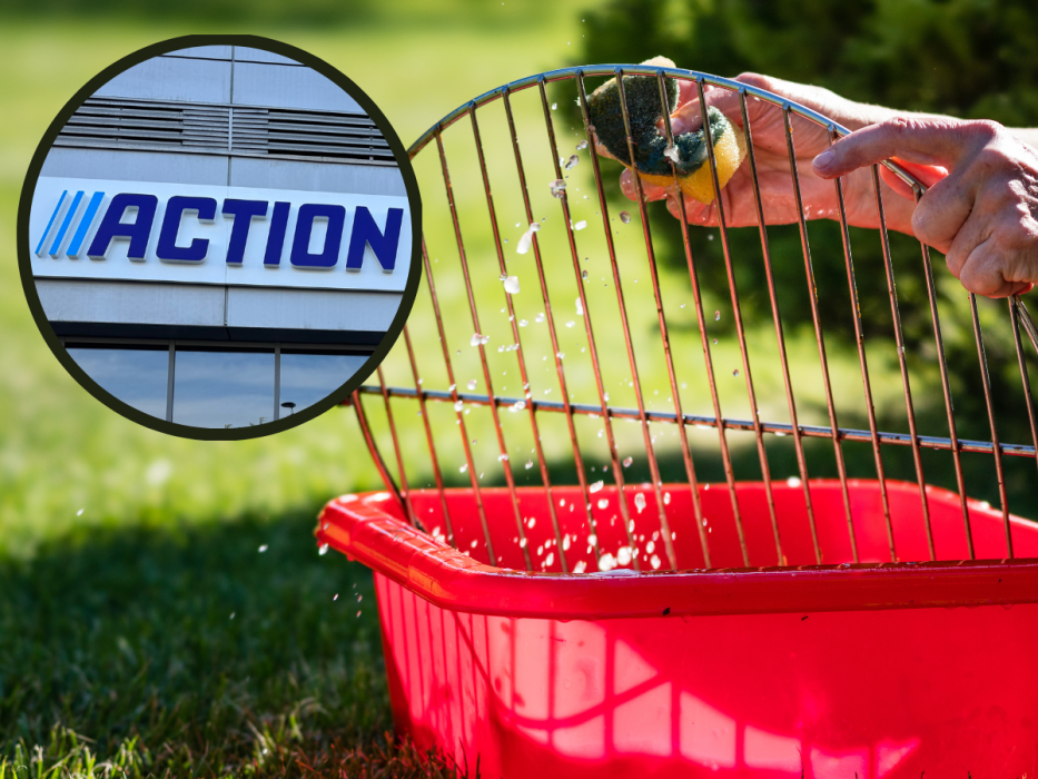 action grill
