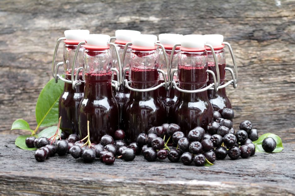 aronia