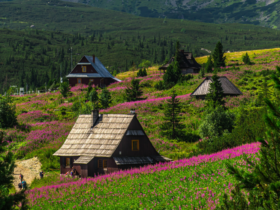 tatry