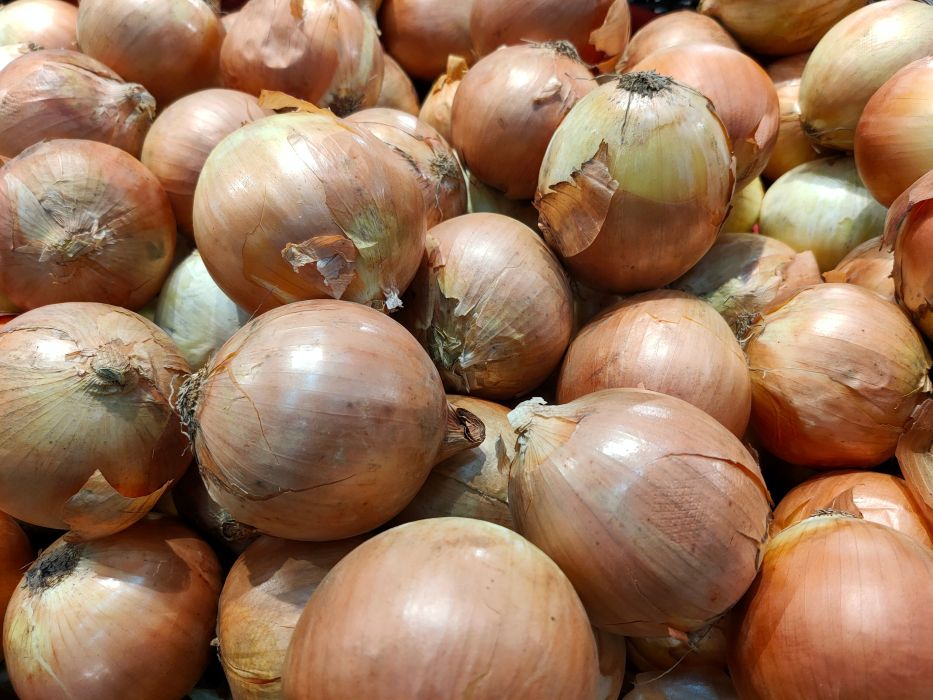 cebula