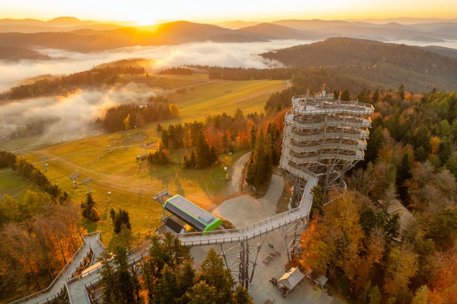 Krynica