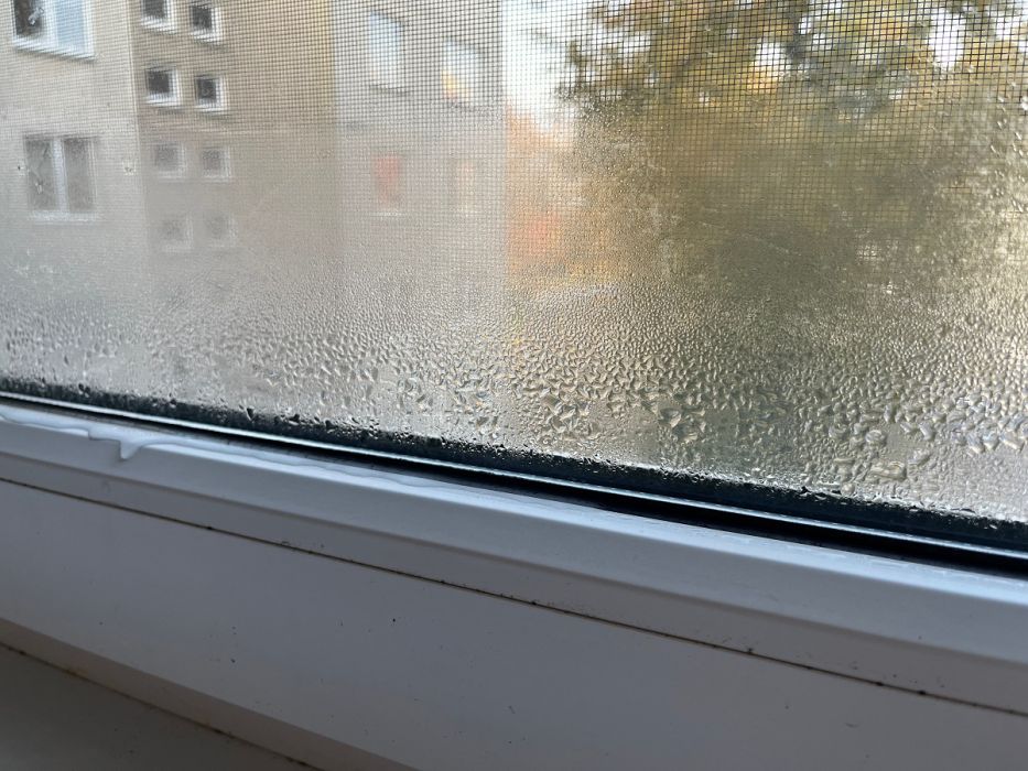 zaparowane okna