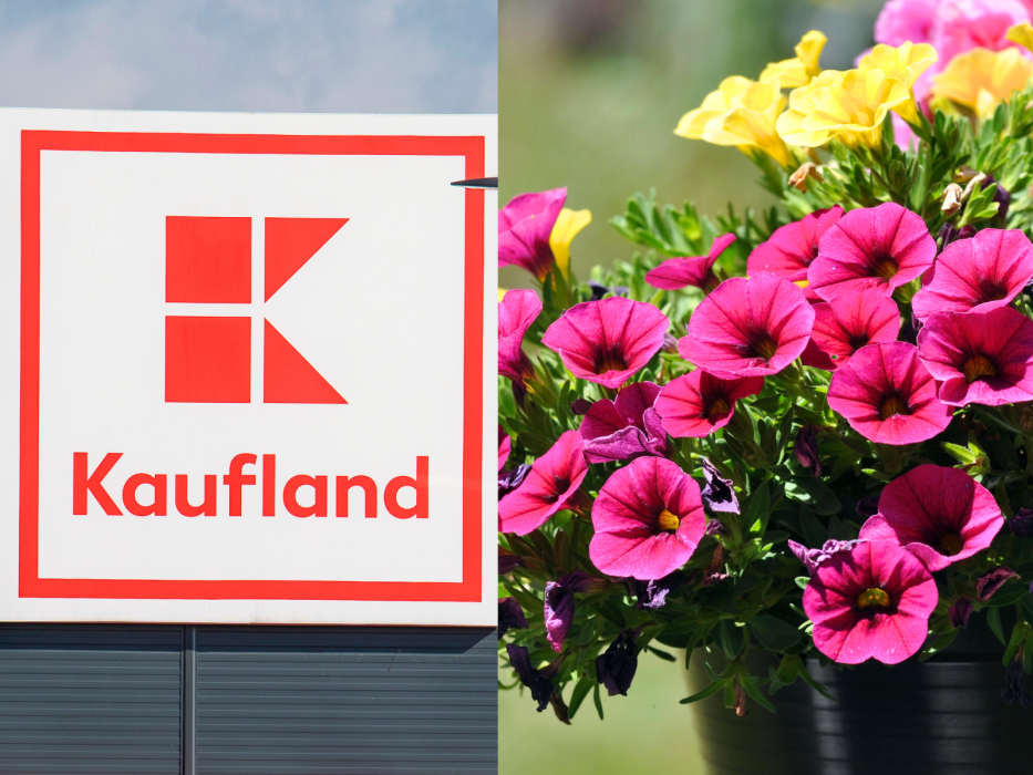 Kaufland
