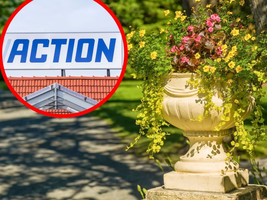 donica z kwiatami, logo Action