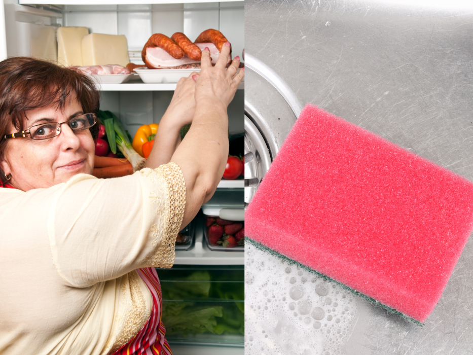 gąbka do naczyń w lodówce