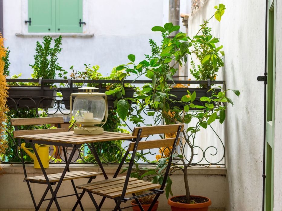 Sinsay ma hit na tyci balkonik