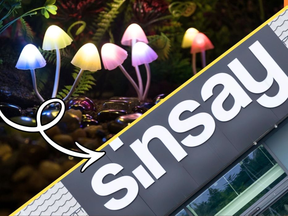 solarne grzybki do ogrodu w Sinsay