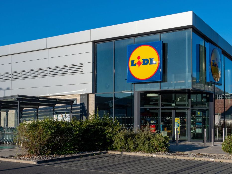 Żywy płomień i kamienie ozdobne Lidl