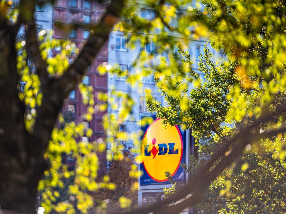 W Lidlu hit dla kreatywnych