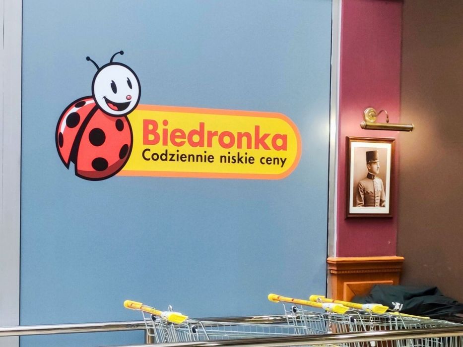 biedronka lampa solarna