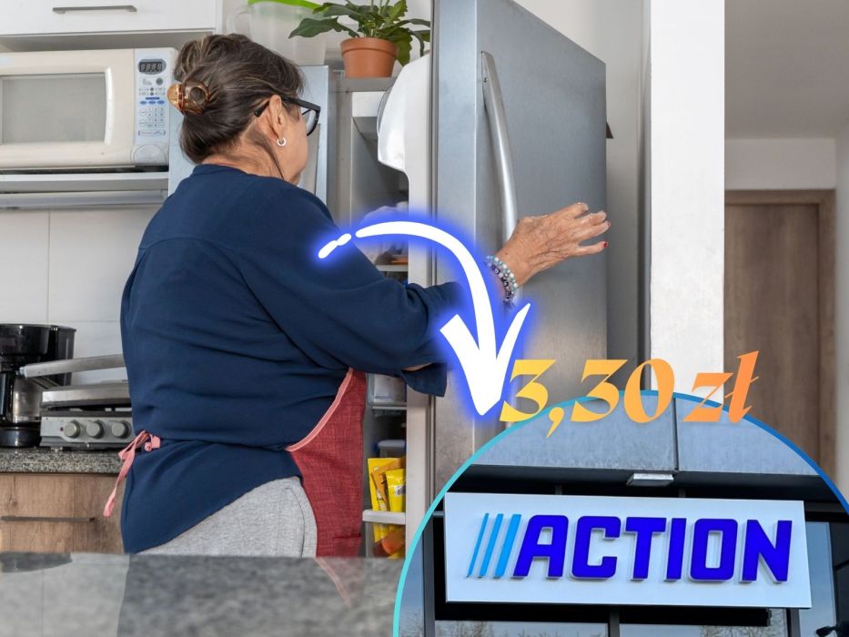 lodówka Action organizery