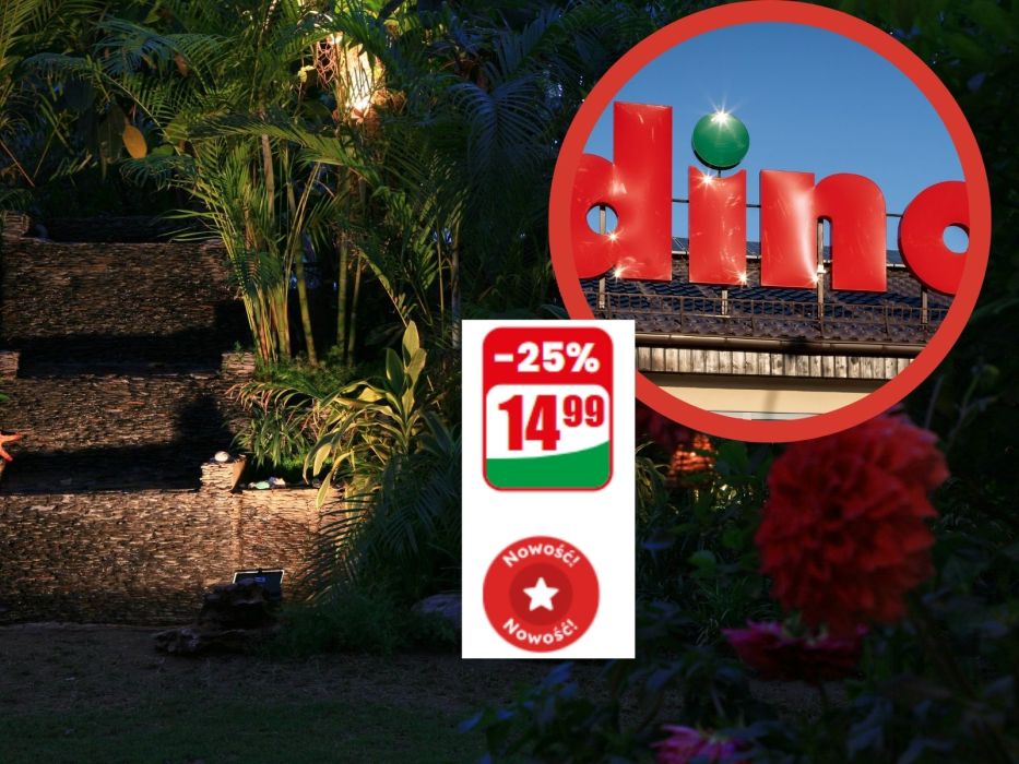 Solarne świetliki z Dino