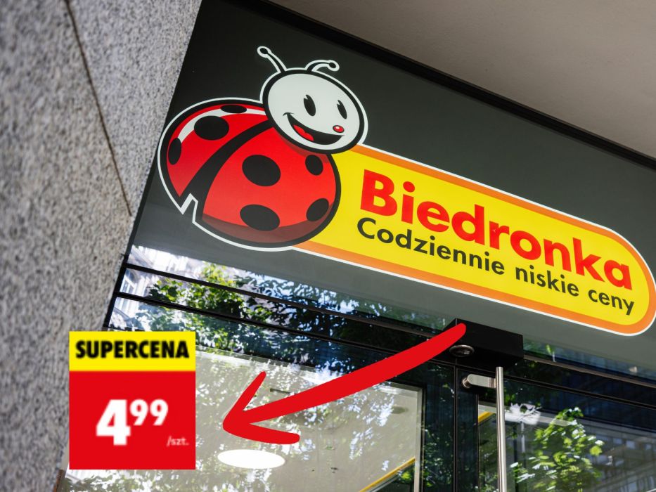 Solarne tulipany z Biedronki