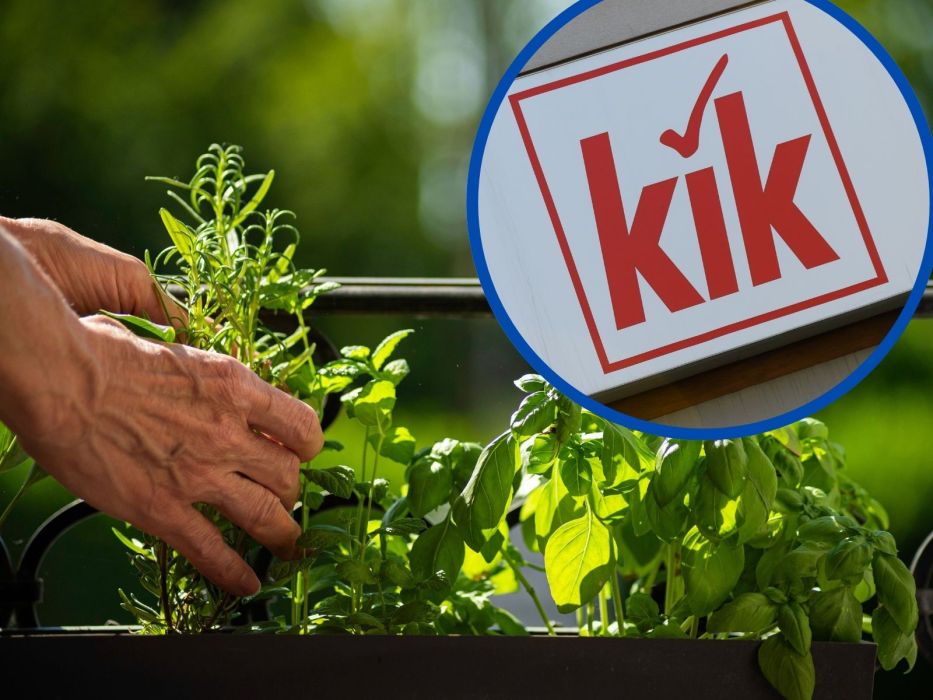 doniczki do ziół z KIK