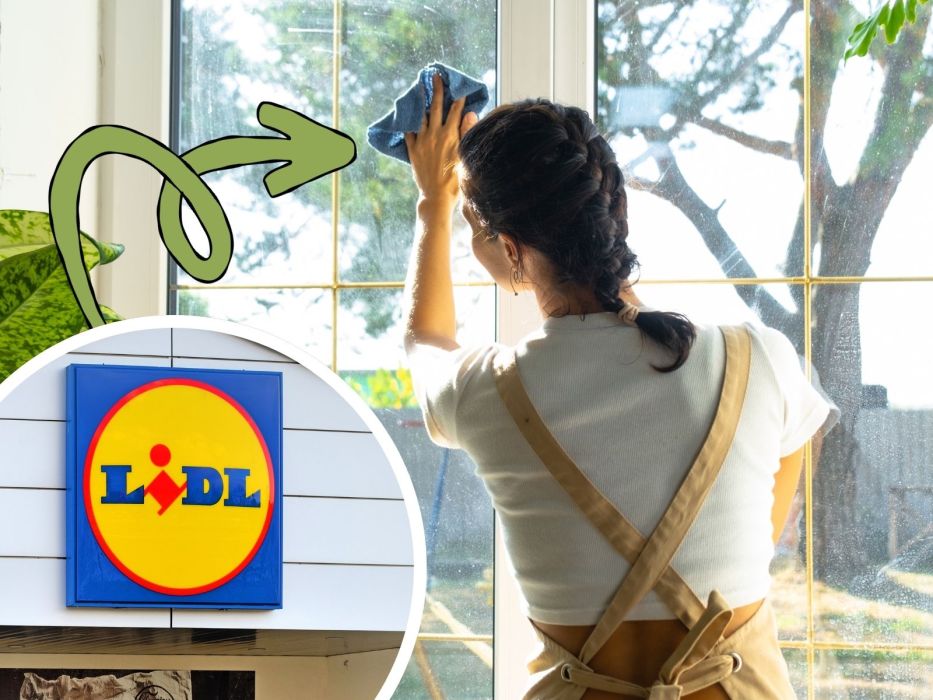 Myjka do szyb Lidl