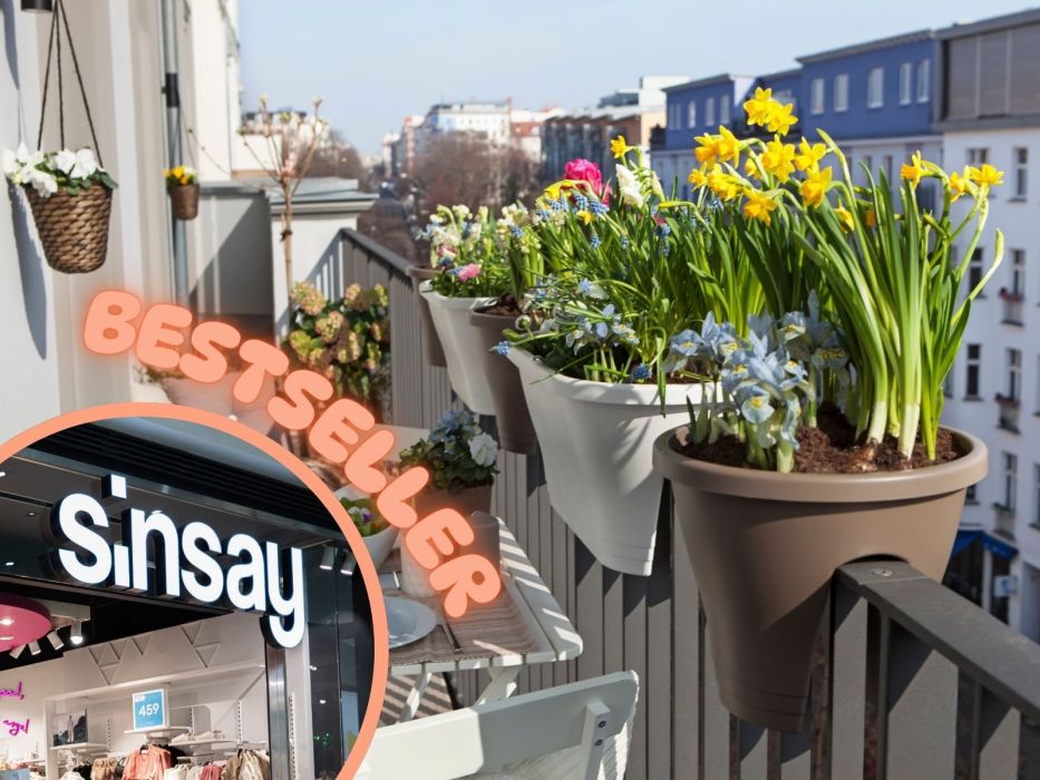 Zestaw doniczek Sinsay