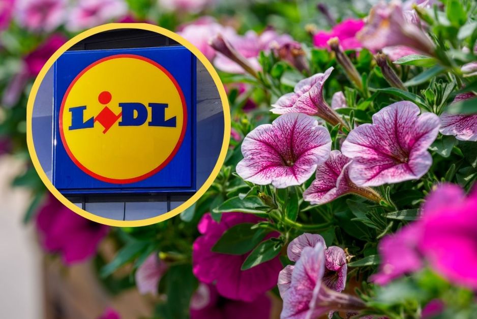 Zielnik na kwiaty na balkon