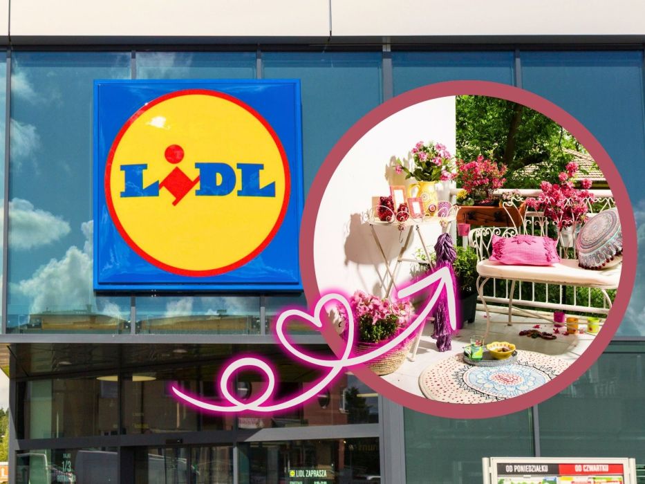 lidl zielnik na balkon