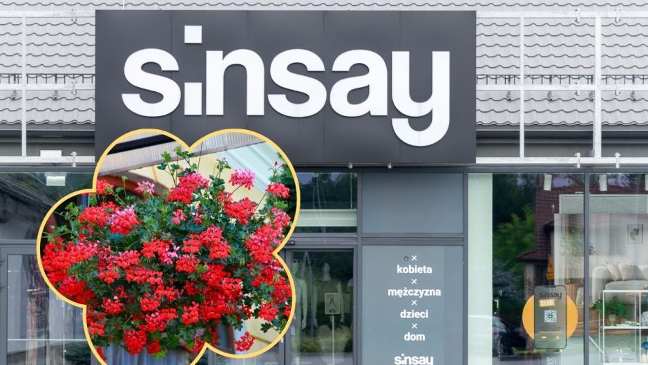 sinsay doniczka wisząca z korka na pelargonie bluszczolistne