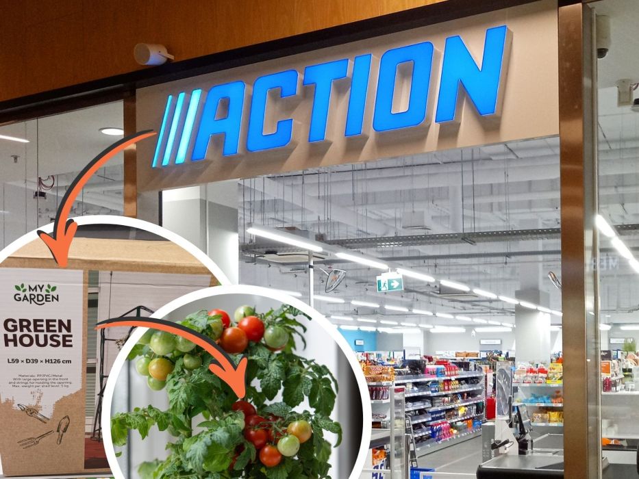 Szklarnia na balkon z Action